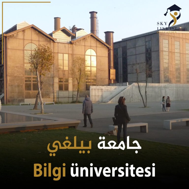 جامعة بلغي