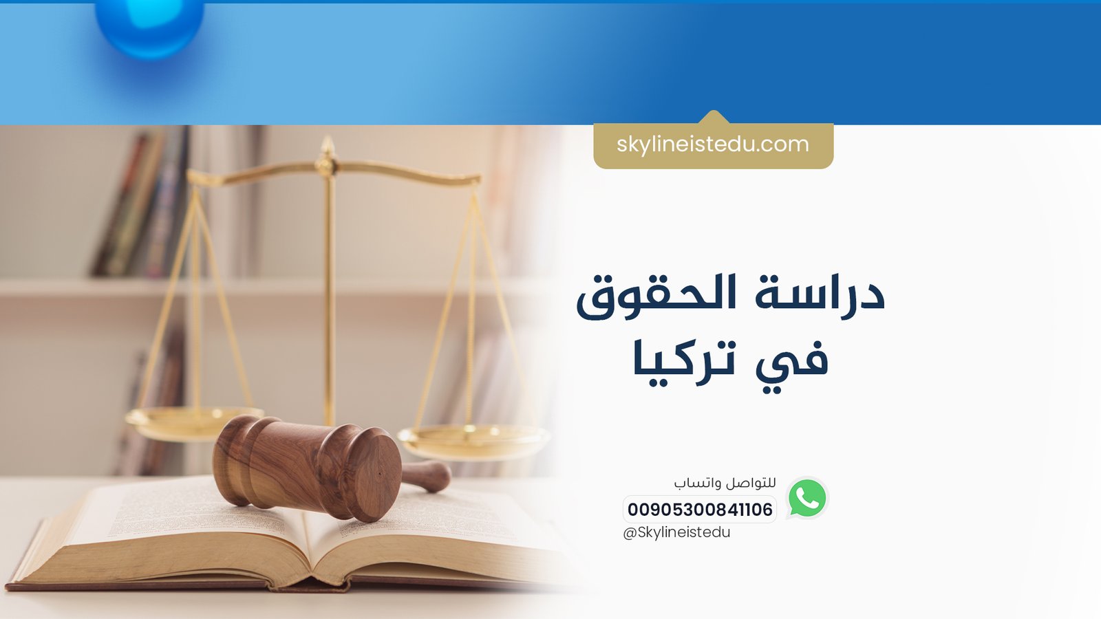دراسة الحقوق في تركيا