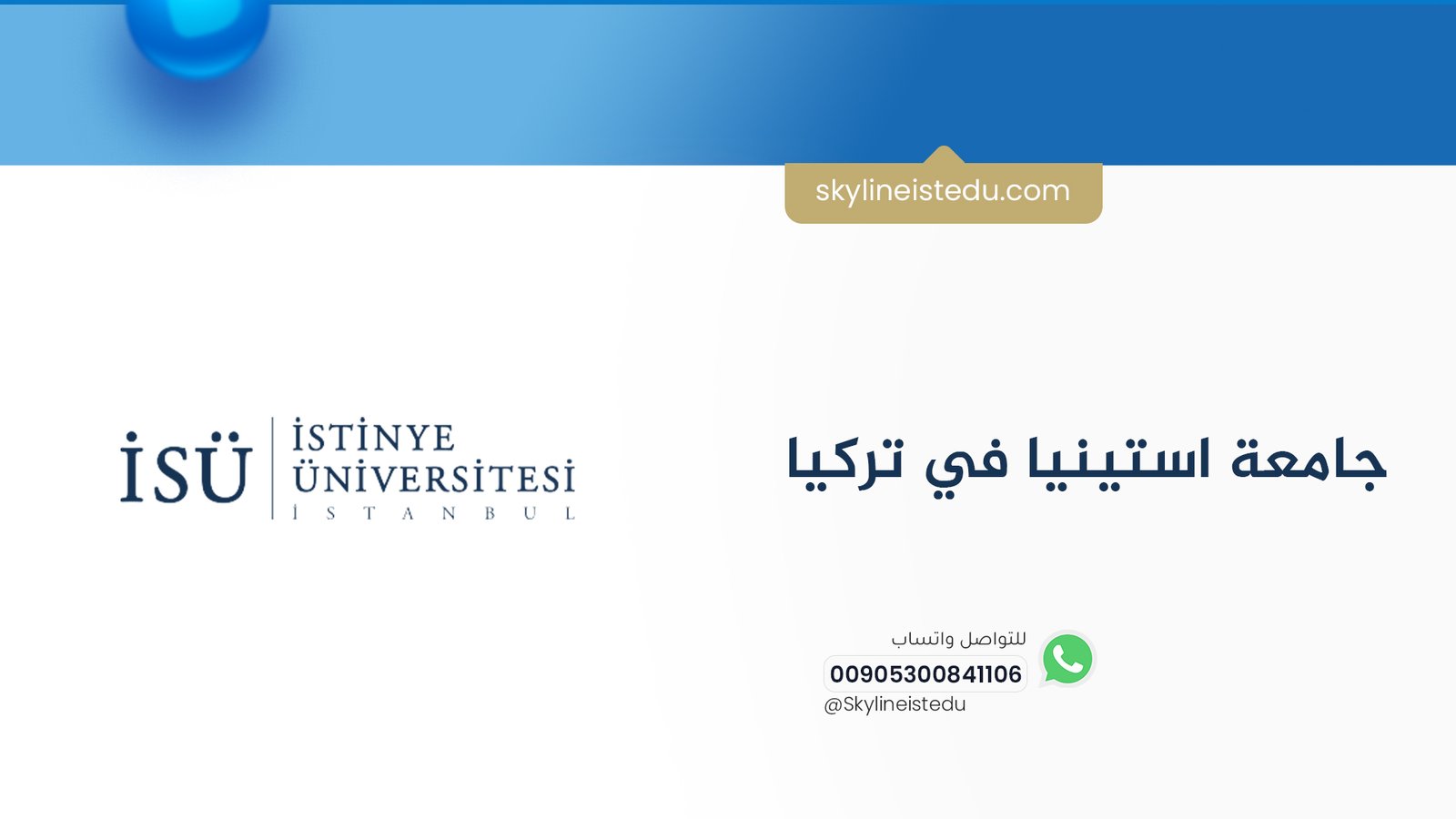 جامعة استينيا في تركيا