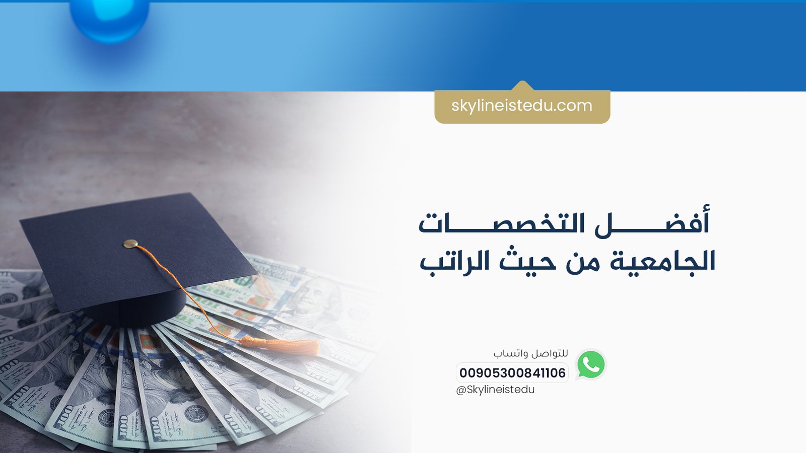 أفضل التخصصات الجامعية من حيث الراتب الأعلى